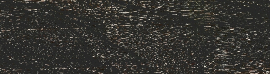 實木領袖地板-落腺豆-TL5