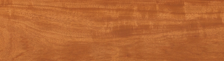 實木領袖地板-落腺豆-T5